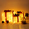 LED Christmas Light Up Sparkle Gift Boxes with Wool