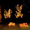 LED Lighted Maple Tree Christmas Tree Lights